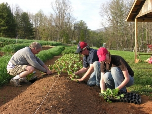 3 people planting