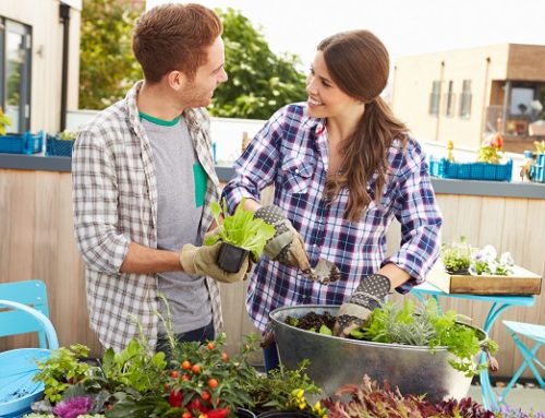 Share the Love of Gardening