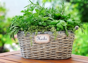 basket with herbs