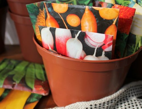 Five Favorite Gift Ideas for Gardeners