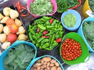 shot of bountiful harvest