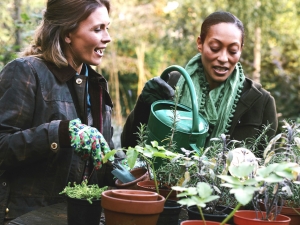 Watering Plants