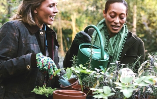 Watering Plants