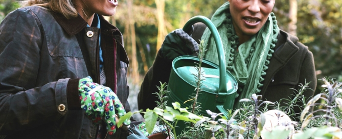 Watering Plants